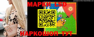 apvp Можга