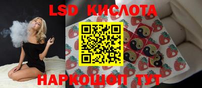 apvp Можга