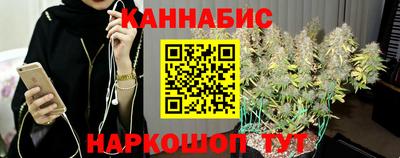 apvp Можга