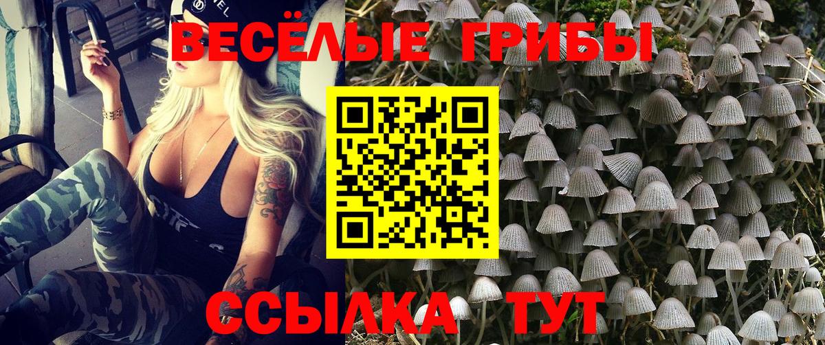 Псилоцибиновые грибы Psilocybe  Галлюциногенные грибы Psilocybe  Югорск  Вход с VPN 