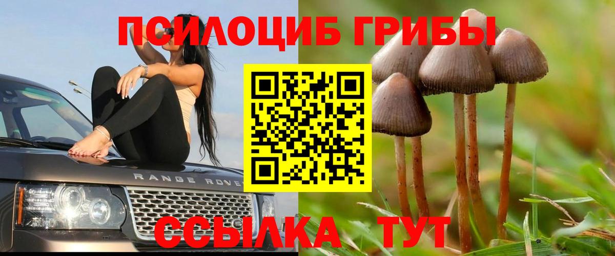 Галлюциногенные грибы MAGIC MUSHROOMS  Югорск  Псилоцибиновые грибы Magic Shrooms 